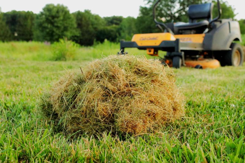 Bag The Clumps That Smother Grass Below
