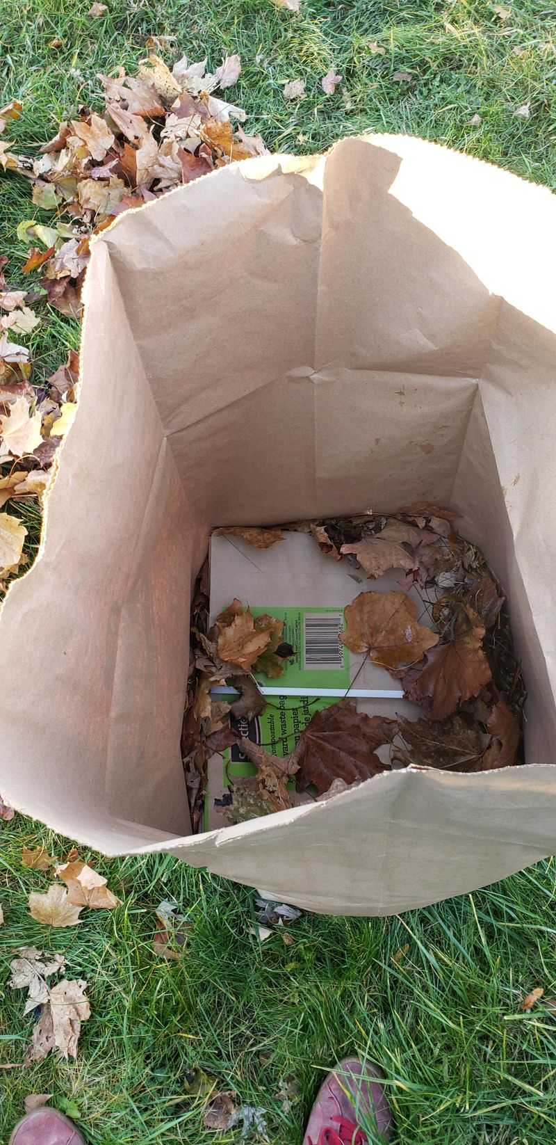 Bag The Debris Instead Of Composting It Nearby
