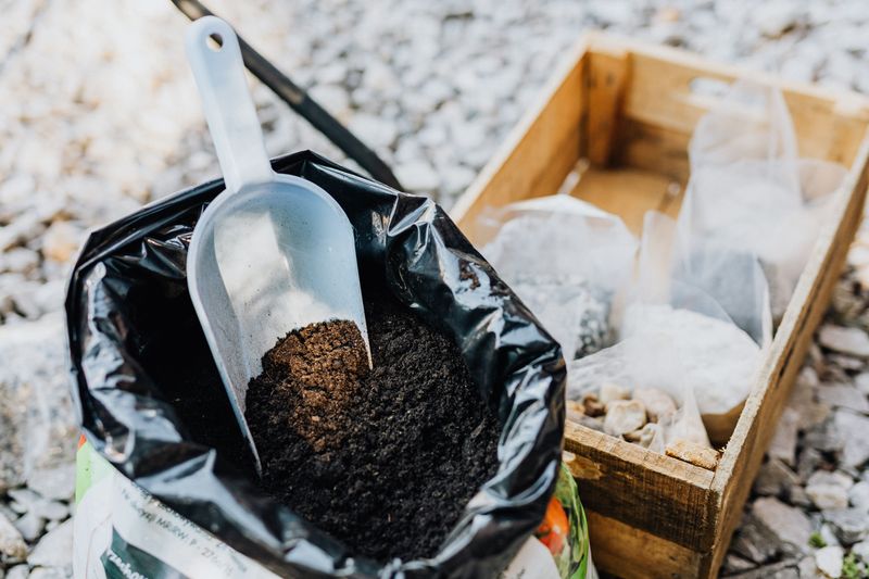 Bagged Potting Mix Can Arrive With Passengers