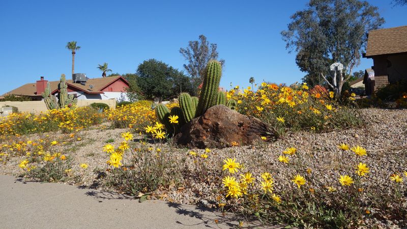 Balance Habitat Benefits With Fire-Safe Maintenance