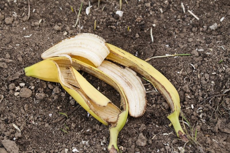 Banana Peels
