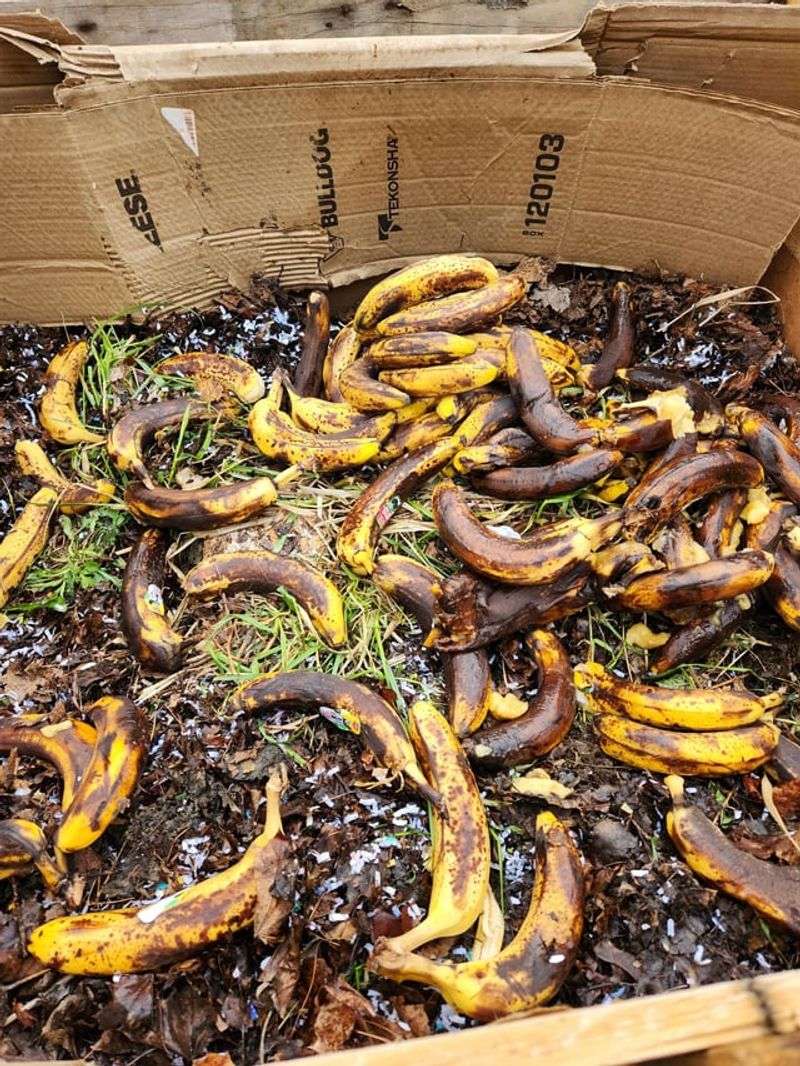 Banana Peels From The Fruit Bowl