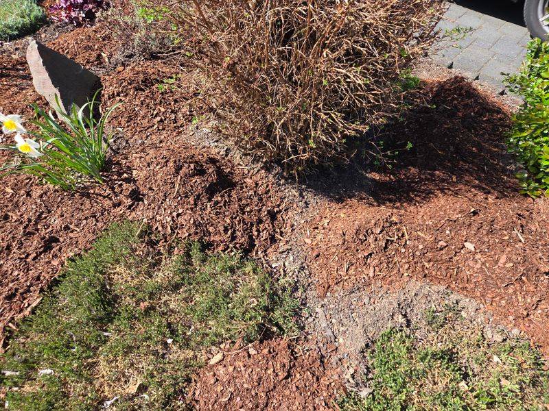 Bare Ground Loses Its Structure Faster