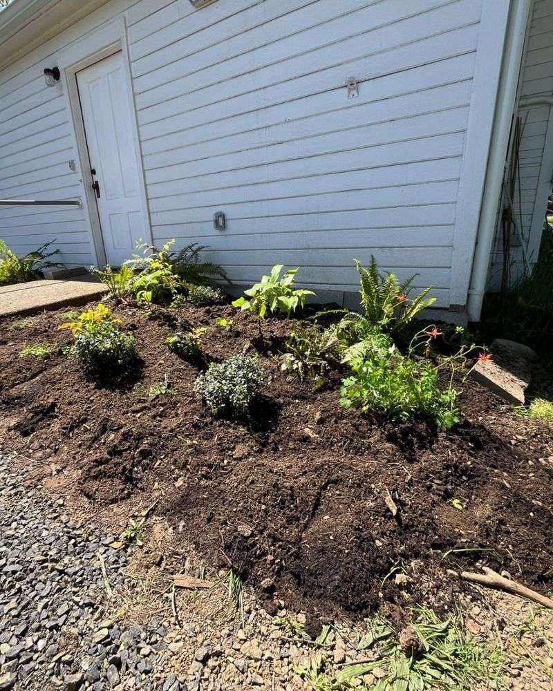 Bare Winter Beds Pay A Price In Oregon Rain Bare Winter Beds Pay A Price In Oregon Rain
