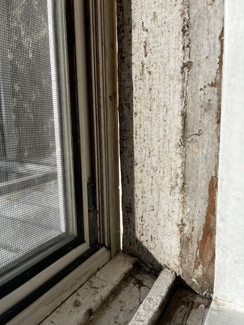Basement Habits That Discourage Spiders