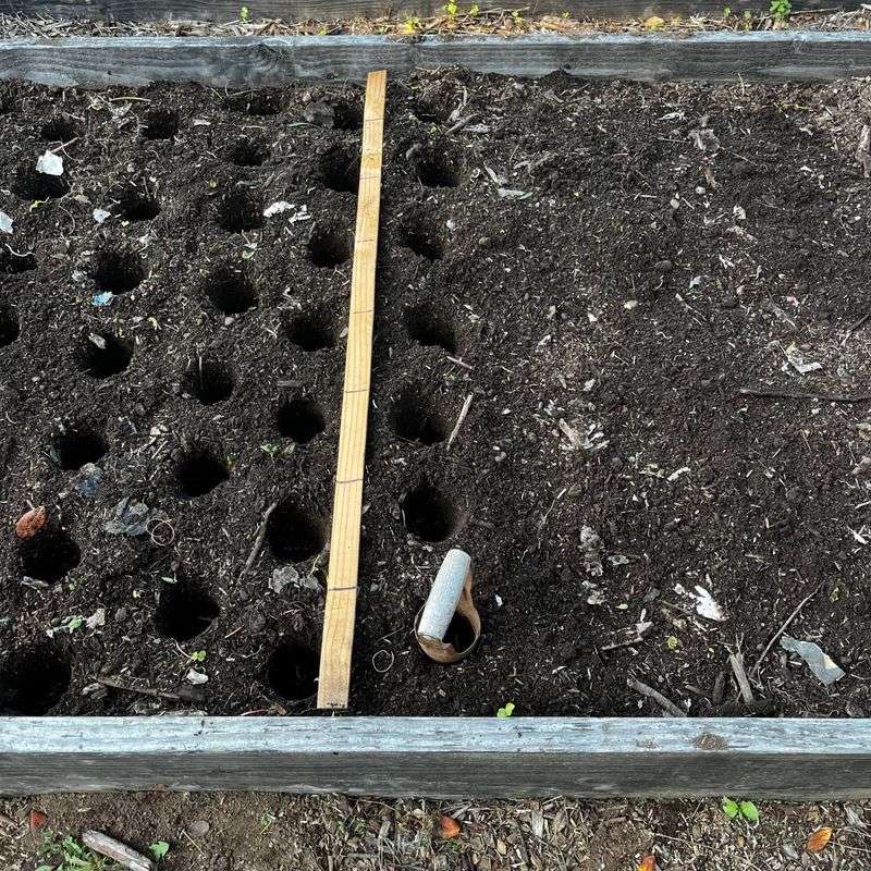 Bed Preparation In The Weeks Before Planting Bed Preparation In The Weeks Before Planting
