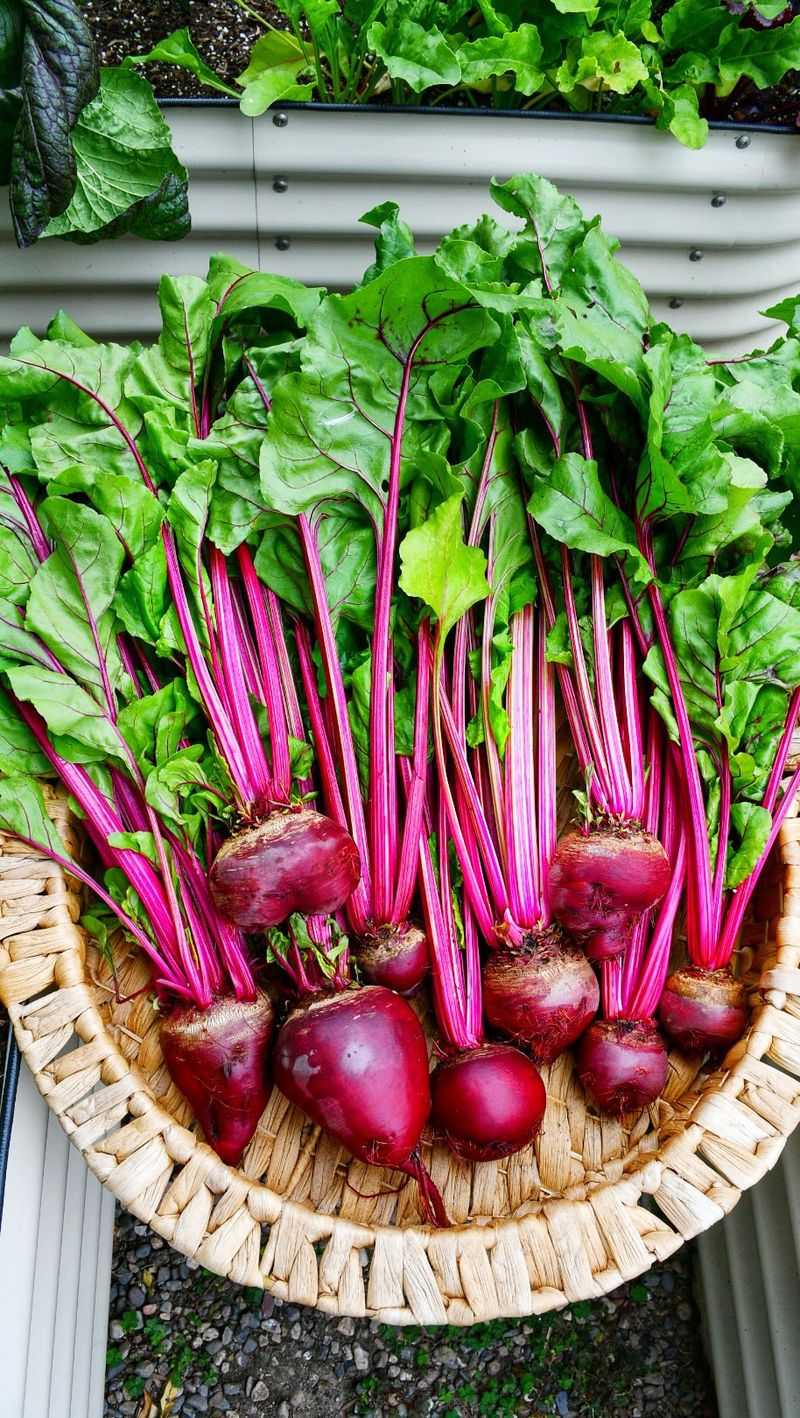 Beets