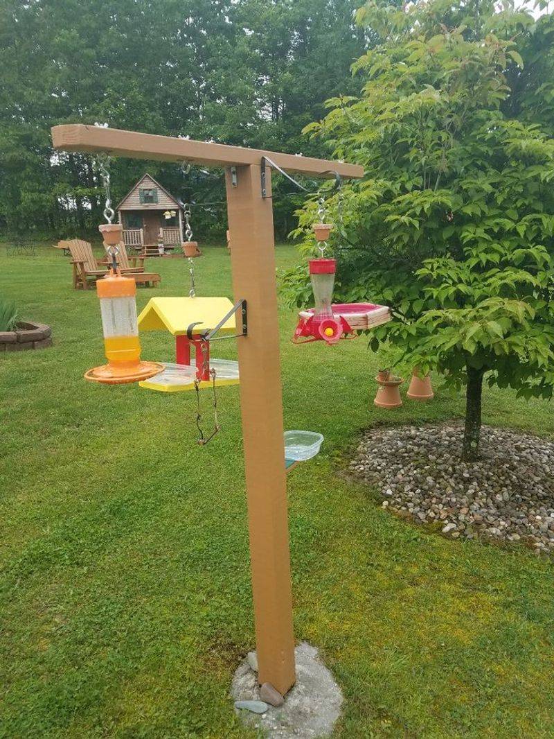 Below A Busy Bird Feeder Below A Busy Bird Feeder