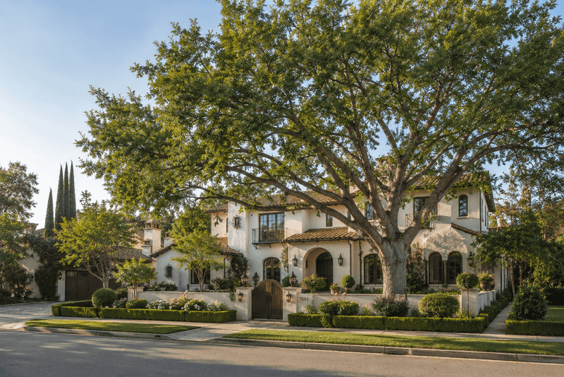 Better Luck With Dutch Elm Disease