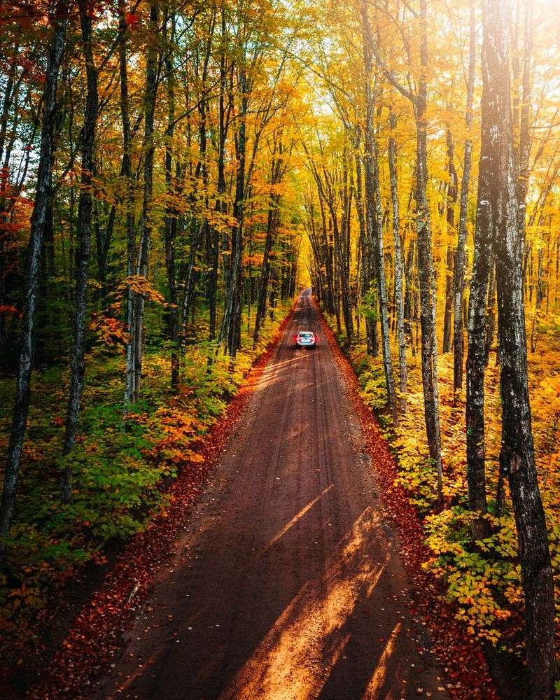 Better Timing For A Peak Color Road Trip