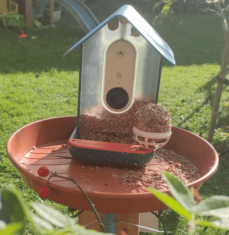 Bird Feeders Drop Food Mice Can Find Bird Feeders Drop Food Mice Can Find