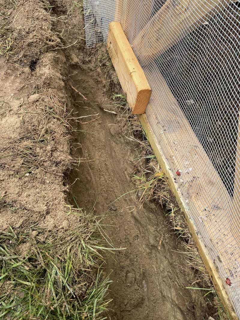 Block Rat Travel Routes Around Your Yard