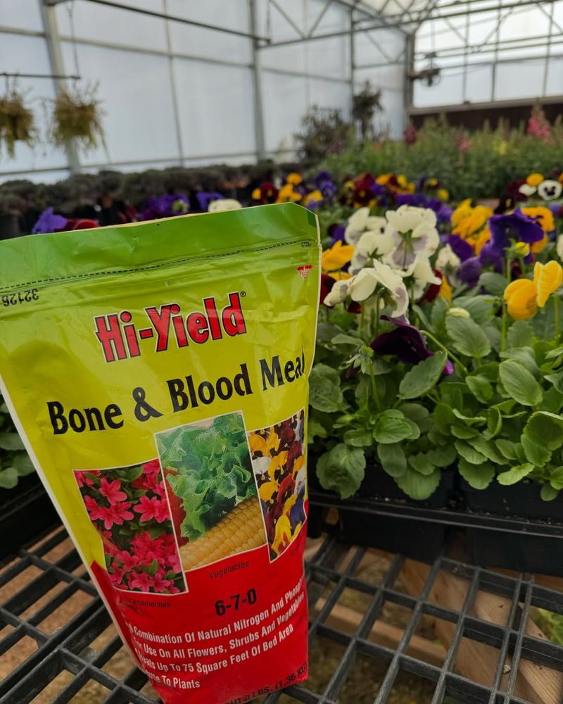 Blood Meal