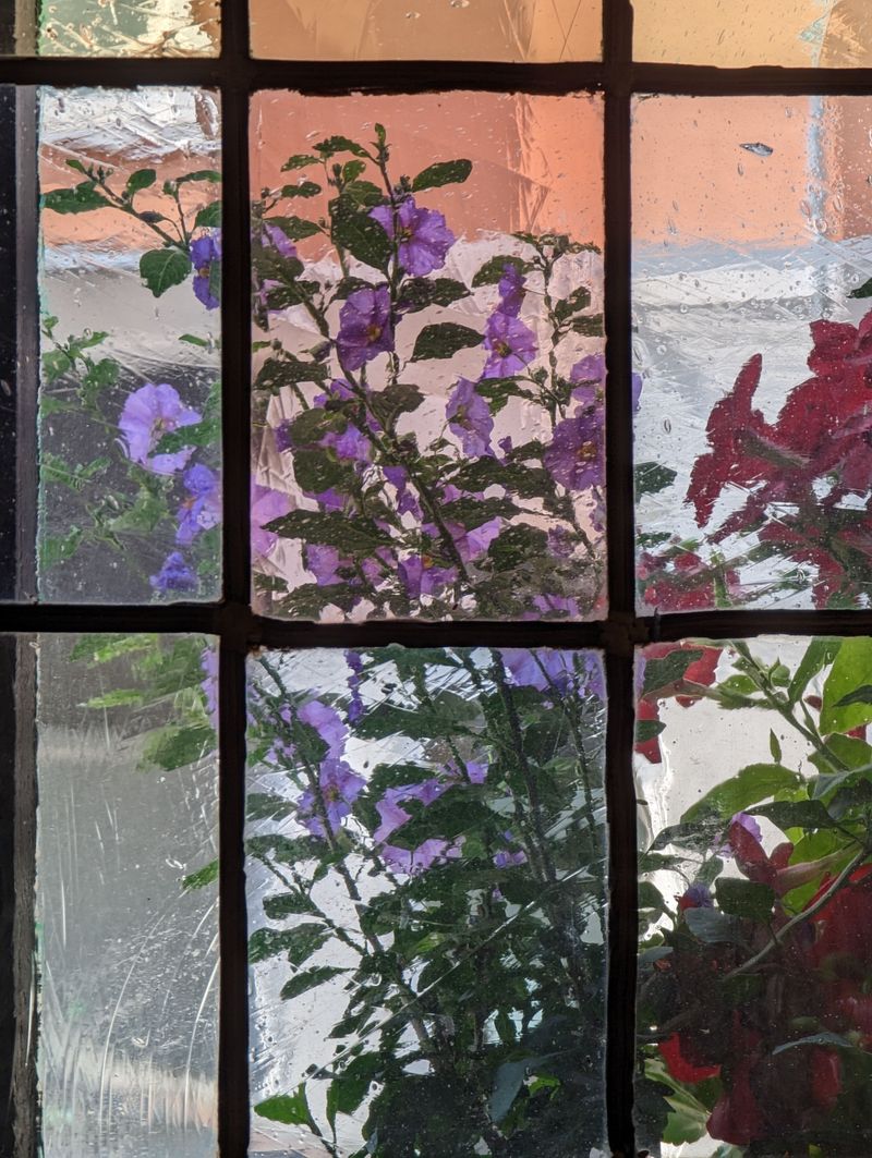 Bloom Windows From The Gulf Coast To North Alabama