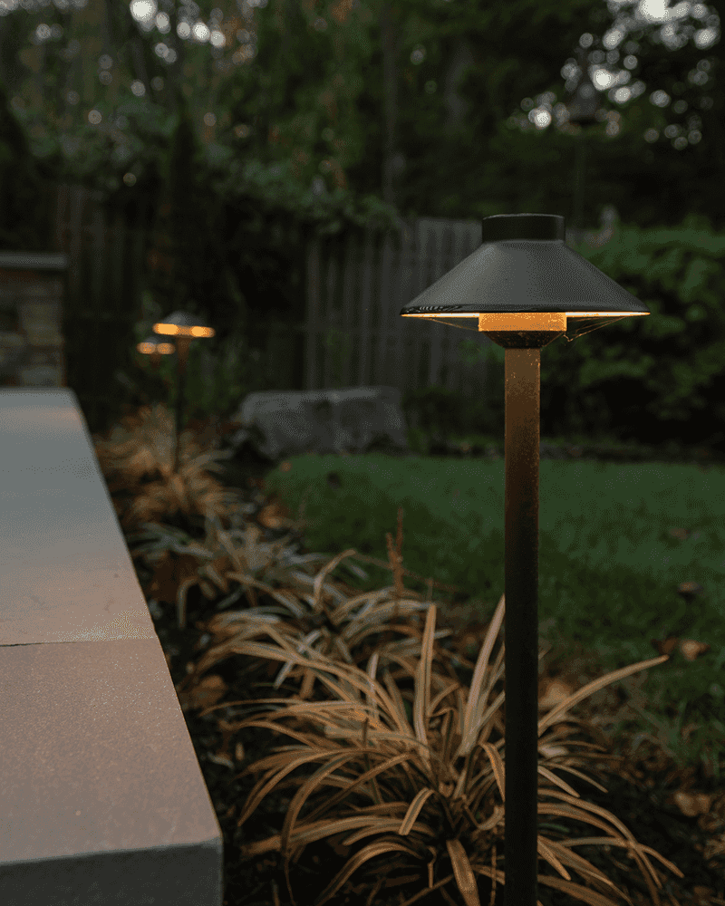 Bright Outdoor Lights Draw Them Closer