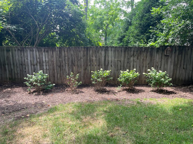 Bring Your Whole Yard Back After Summer Stress Bring Your Whole Yard Back After Summer Stress