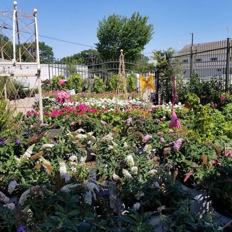 Brumley Gardens & Landscape - 10540 Church Rd, Dallas, TX 75238 Brumley Gardens & Landscape - 10540 Church Rd, Dallas, TX 75238