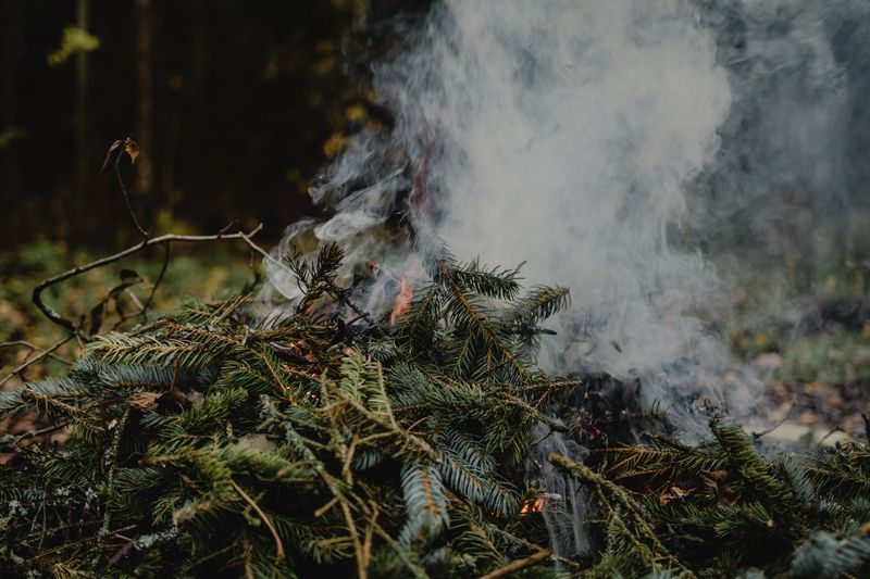 Brush Pile Season Returns On November 1