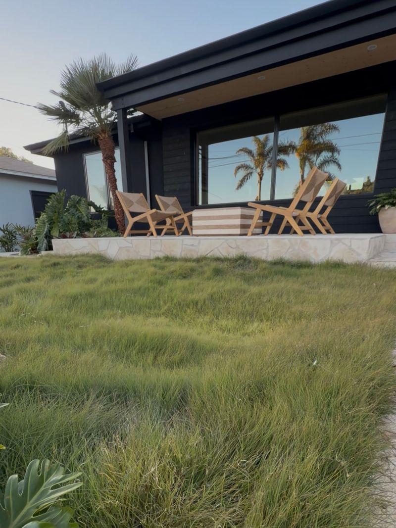 Buffalograss is an option, not a universal replacement Buffalograss is an option, not a universal replacement