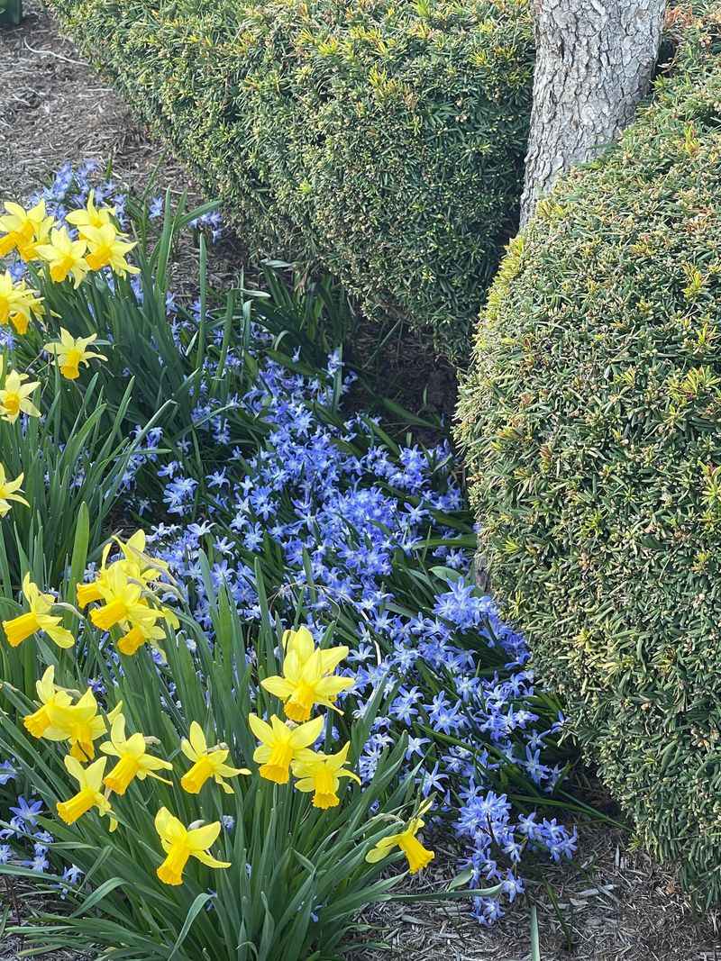 Build A Longer Spring Display With Layers
