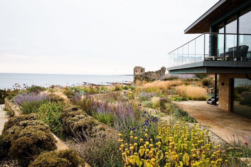 Build Coastal Yard Habits That Help Prevent Salt Damage
