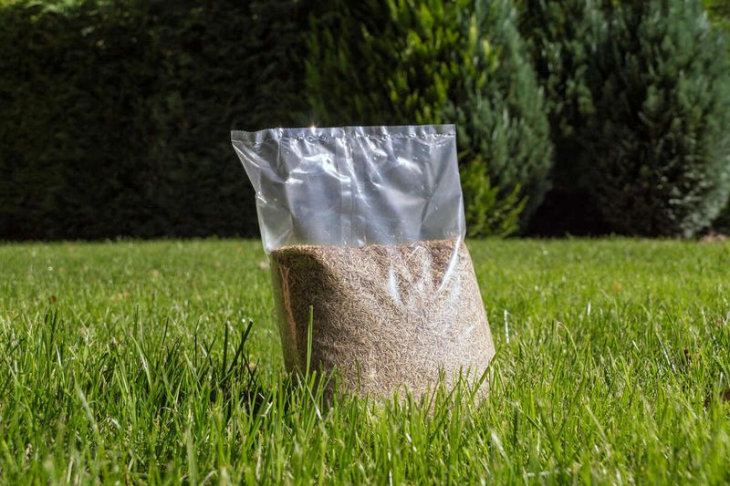 Build Deeper Roots Before Winter Arrives