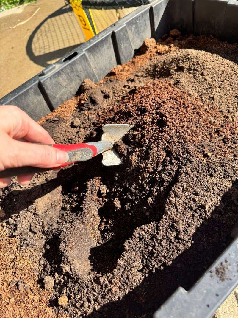 Build Soil Health For The Next Heat Wave
