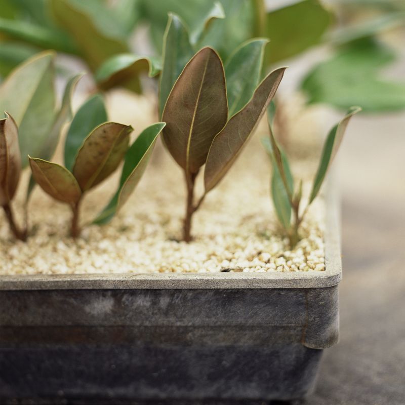 Build a Clean, Cool Propagation Station