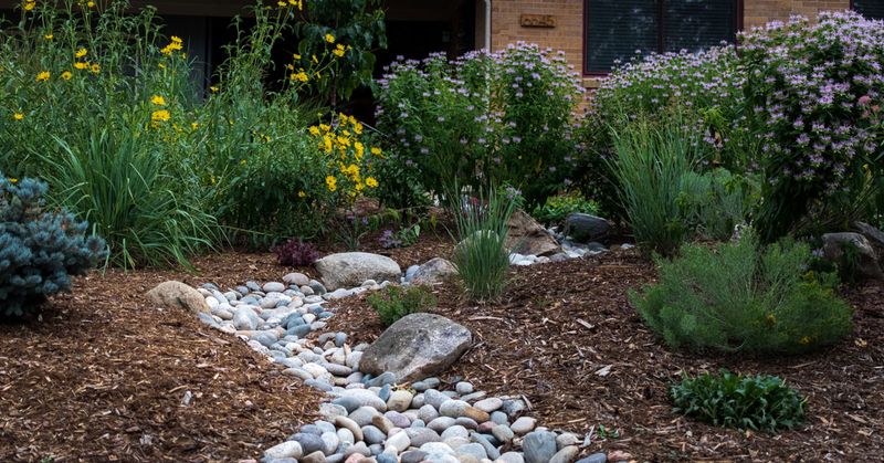 Build a Dry Separation Zone Between Living Space and Brush