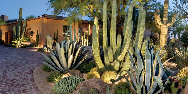Build a Site-Specific Arizona Root-Zone Plan