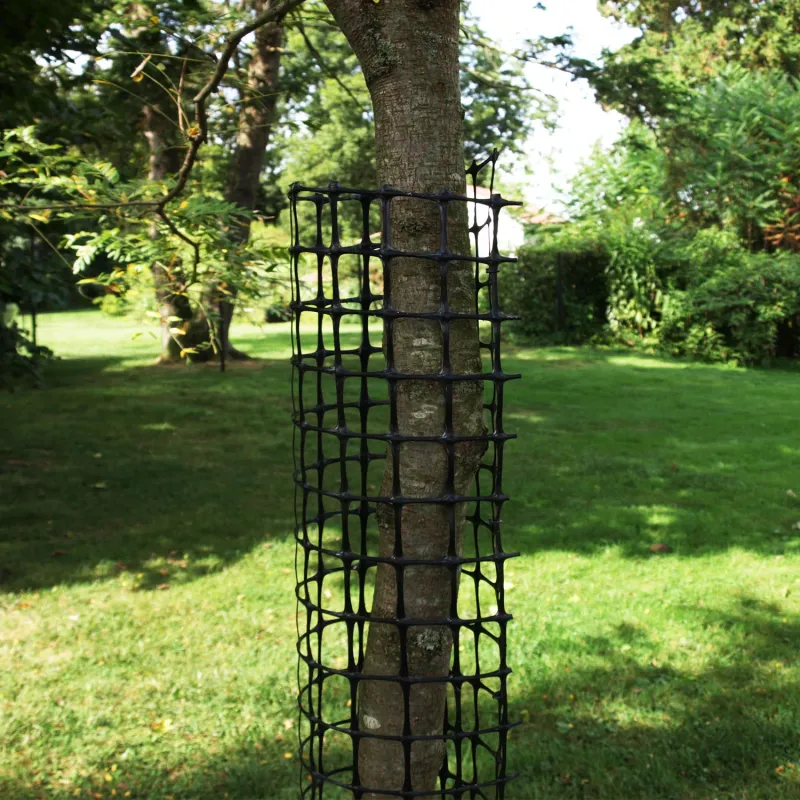 Build a rigid Wisconsin barrier around the trunk
