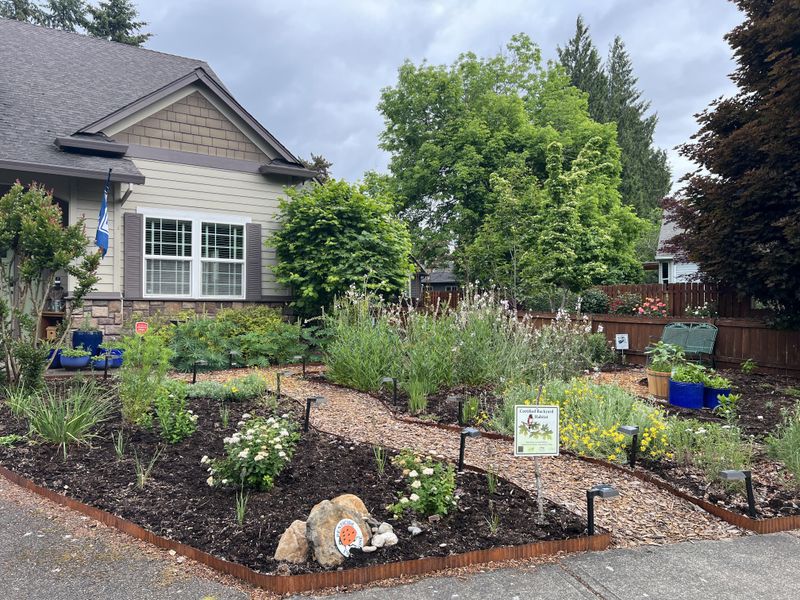 Build the rest of the bee habitat around it
