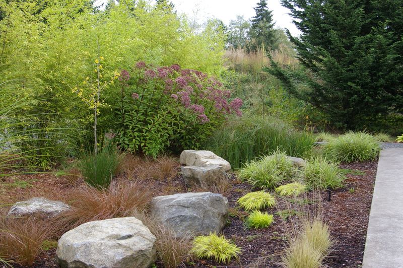 Build water and drainage zones before color combinations Build water and drainage zones before color combinations