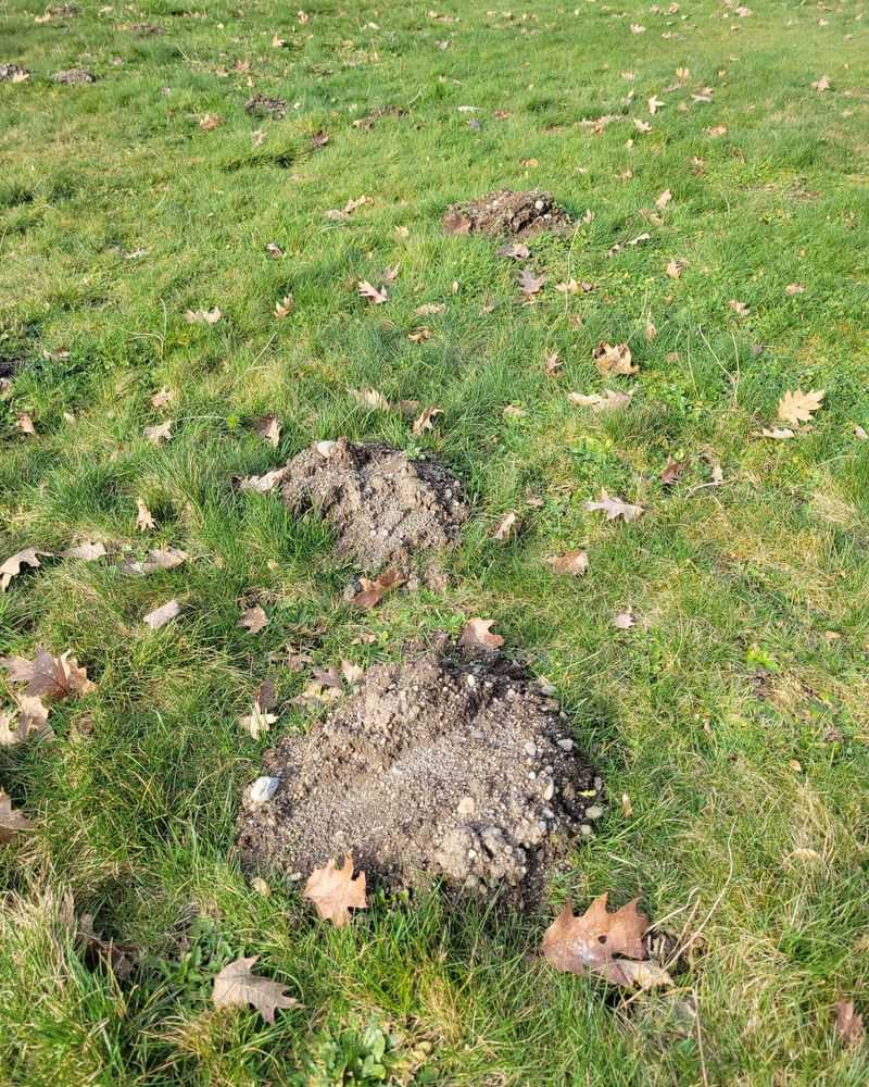 Building A Fall Care Plan For Pennsylvania Turf