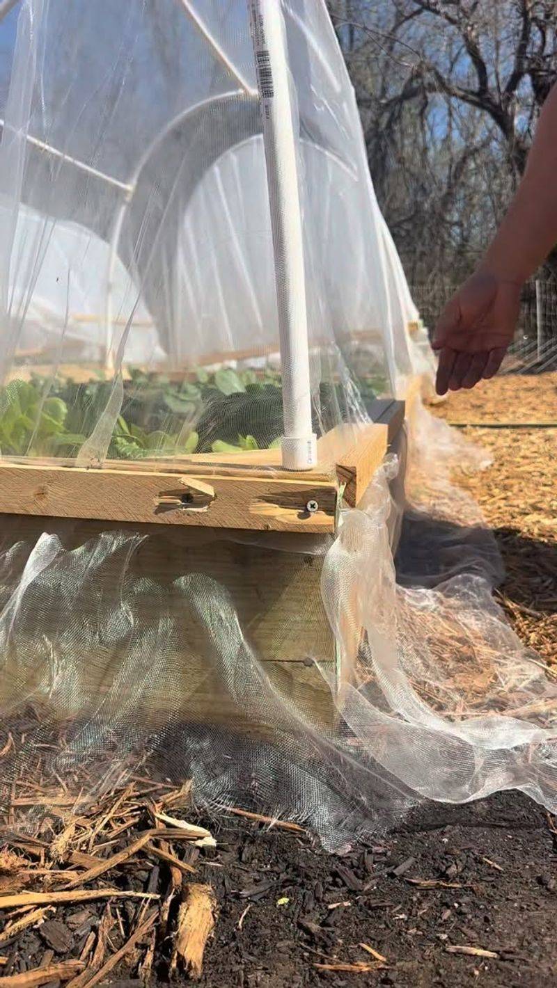 Building A Low Tunnel With Hoops Building A Low Tunnel With Hoops