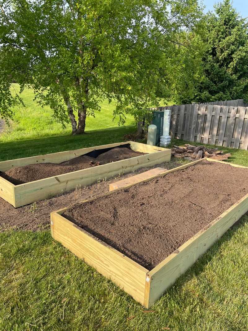 Building A Ready Bed For October Cloves Building A Ready Bed For October Cloves