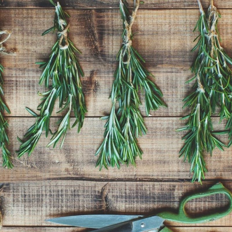 Bundle Small Bunches For Better Airflow