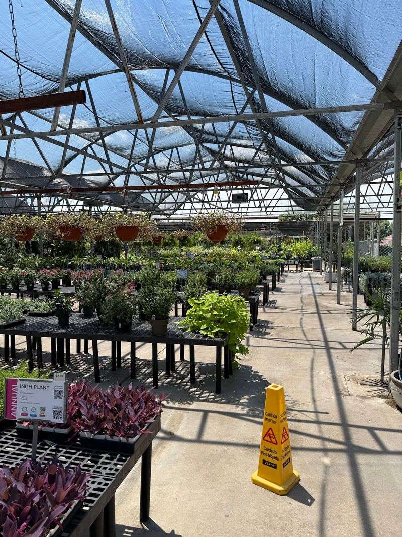 Calloway's Nursery - 4940 S Cooper St, Arlington, TX 76017 Calloway's Nursery - 4940 S Cooper St, Arlington, TX 76017