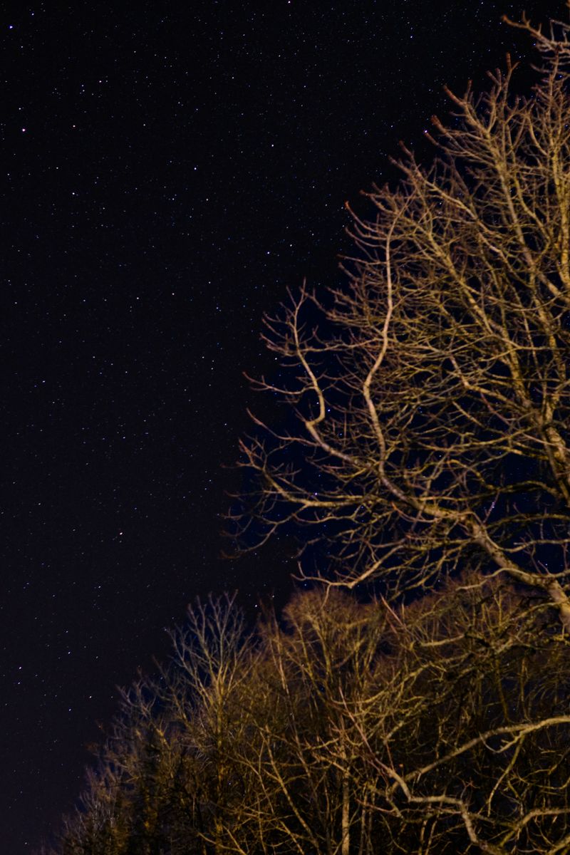 Calm Nighttime Air Calm Nighttime Air
