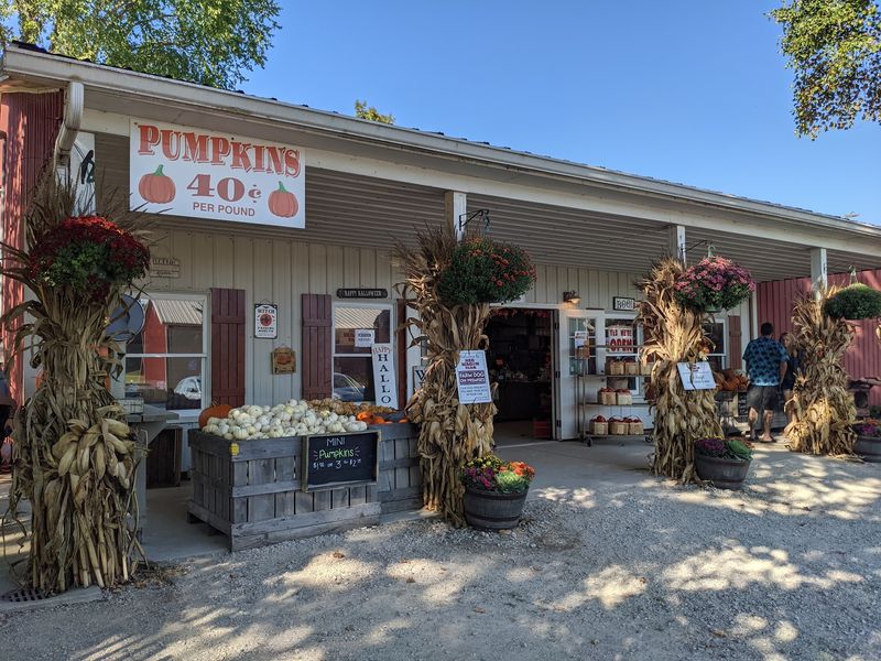 Carry Home All The Pumpkins You Can At Red Wagon Farm Carry Home All The Pumpkins You Can At Red Wagon Farm