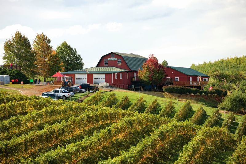 Carter Mountain Orchard, Where Weekday Visits Are Still Free Carter Mountain Orchard, Where Weekday Visits Are Still Free