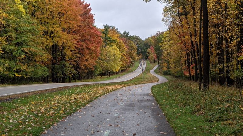 Catch The First Peak Color On Riverview Road In Cuyahoga Valley