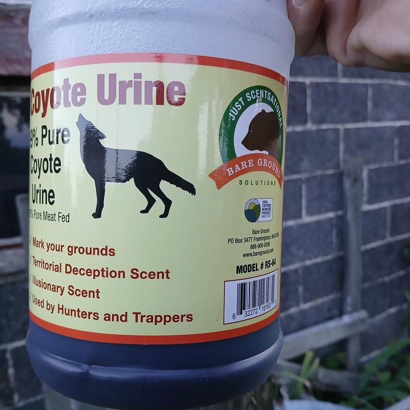 Cayenne Pepper And Predator Urine