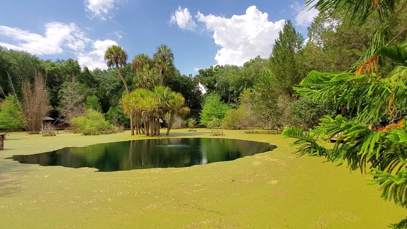 Cedar Lakes Woods And Gardens Adds Fall Foliage Beside The Water