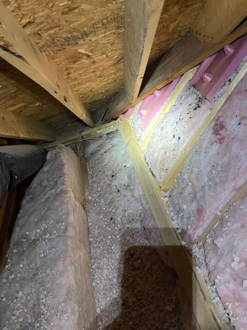 Check Attic Entry Points Before Sealing Anything