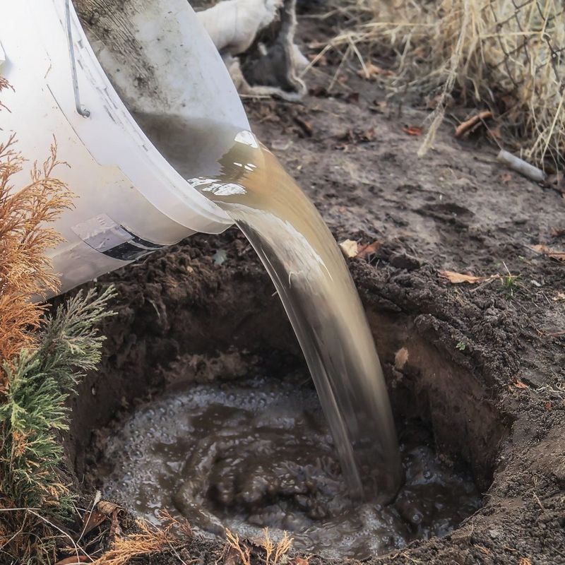 Check Drainage Around Vulnerable Beds Check Drainage Around Vulnerable Beds
