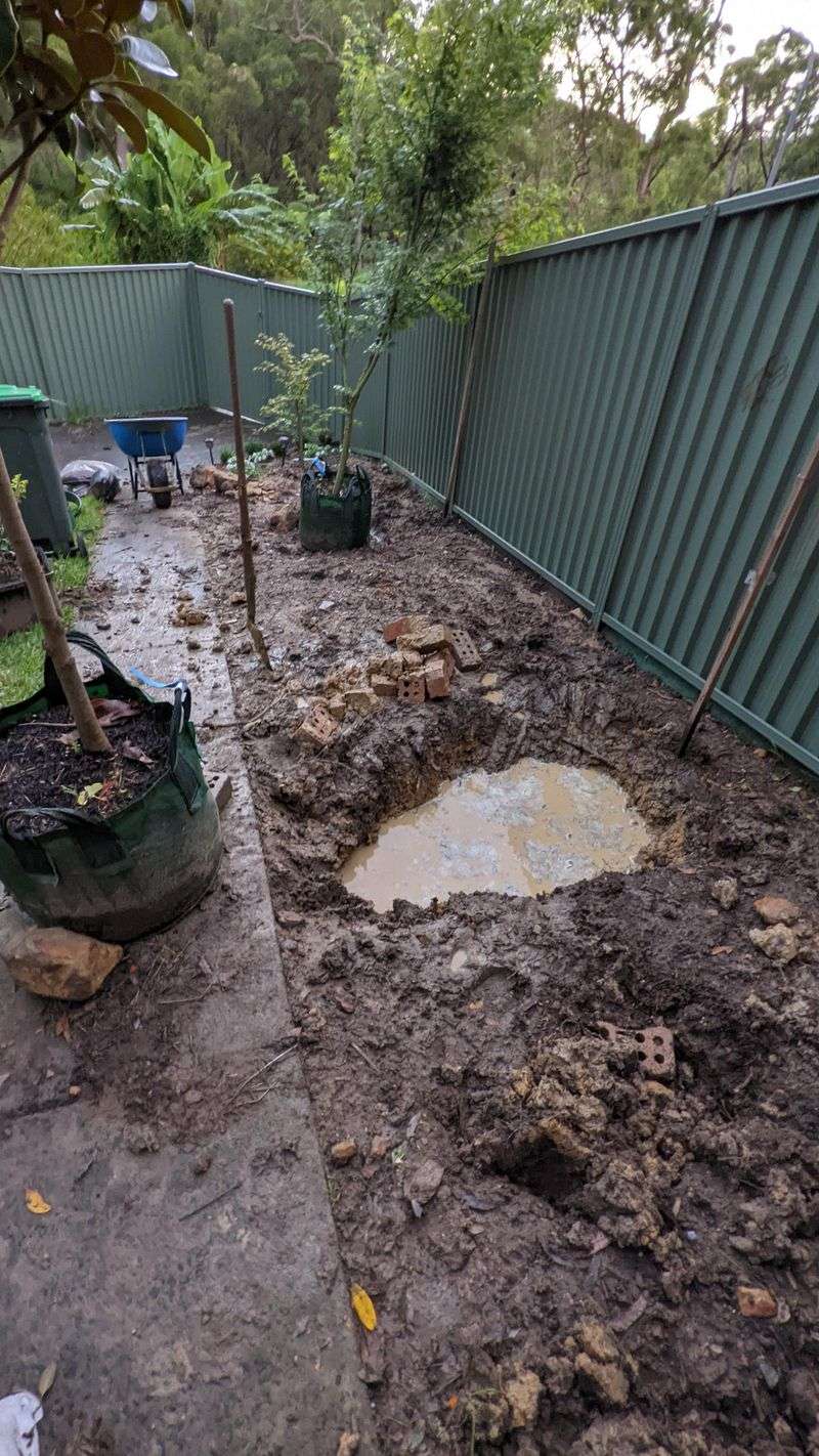 Check Drainage Before Adding More Water Check Drainage Before Adding More Water