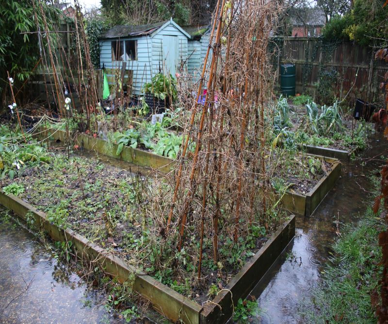 Check Drainage Before The Rain Peaks Check Drainage Before The Rain Peaks
