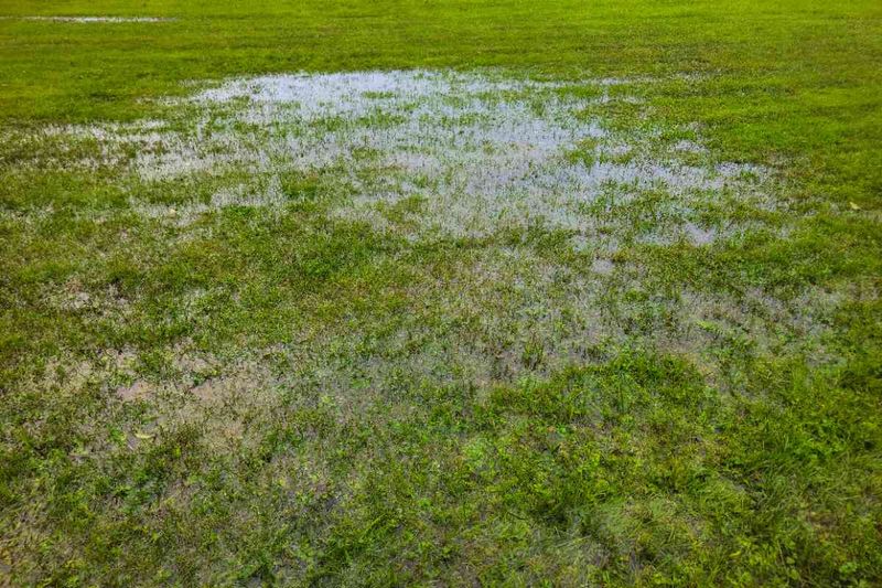 Check Florida Soil For Leftover Soggy Spots Check Florida Soil For Leftover Soggy Spots