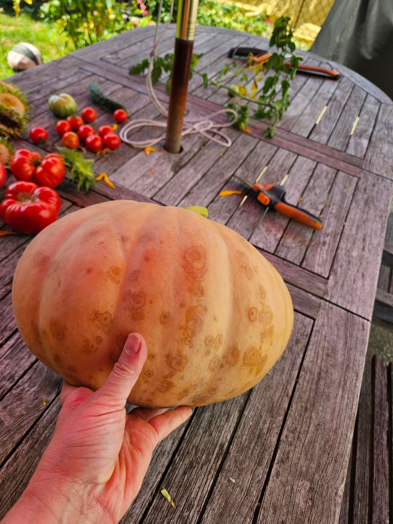Check For Soft Spots During Curing